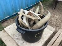 BUCKET OF ASSORTED ANIMAL HORNS/ANTLERS SHEDS
