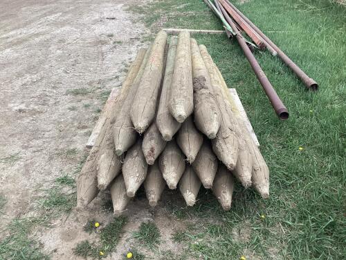 (19) WOODEN FENCE POSTS
