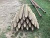 (19) WOODEN FENCE POSTS