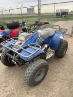 Polaris 2X4 number 300 quad