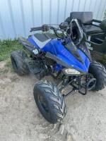 2015 Mini quad