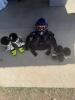 2013 Yamaha PW 50 mini bike w/ equipment - helmet, chest protector, boots - 4