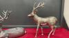 (2) METAL DEER - 4