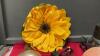 BOX OF DECOR - BURLAP SUNFLOWER, DIFFUSER, SALT ROCK (NO LIGHT), RAINMATE HUMIDIFIER - 2