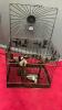 2 DECORATIVE CAGES FOR BIRDS OR PLANTS - 5