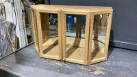 DISPLAY CASE W/ MIRRORED BACK
