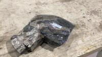 AMMONITE CHUNK