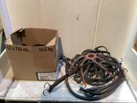 SHOP BOX W/ ASSORTMENT OF BUNGEE CORDS
