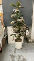 ARTIFICIAL PLANT