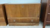 STORAGE CABINET W/ DROP DOWN FRONT & (1) DRAWER