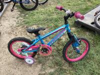 SUPERCYCLE TRAINING BICYCLE
