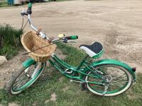 EVERYDAY BICYCLE