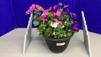 10&rdquo; POT OF FLOWERING PETUNIAS
