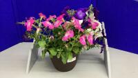 10&rdquo; POT OF FLOWERING PETUNIAS