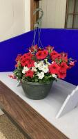 12&rdquo; HANGING BASKET OF PETUNIAS