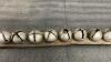 SET OF (12) SLEIGH BELLS ON A LEATHER STRAP - 3