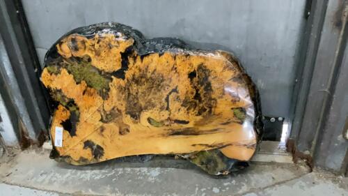 SMALL LIVE EDGE WOOD SLAB, EPOXY TOP W/ SOME FERN DETAILING UNDERNEATH
