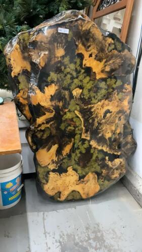 TABLE TOP LIVE EDGE WOOD SLAB, EPOXY TOP W/ SOME FERN DETAILING UNDERNEATH
