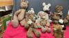 COLLECTION OF TEDDY BEARS - 2
