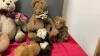 COLLECTION OF TEDDY BEARS - 4