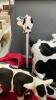 COLLECTION OF COW DECOR - PILLOWS, STUFFIES, ORNAMENTS, MUG AND COASTERS, A RUG, AND A PAPER TOWEL HOLDER - 5