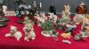 BOX OF CERAMIC, PORCELAIN, & RESIN ANIMAL ORNAMENTS - 6