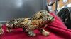 AFRICAN THEMED ORNAMENTS - (2) GIRAFFES, LION, AND A TRINKET BOX - 2