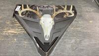 STRUT-N-SKULL TROPHY MOUNTING KIT
