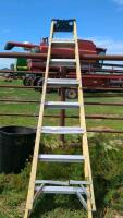 8 Foot Step Ladder