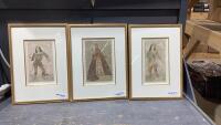 SET OF 3 FRAMED PRINTS OF EMPEROR , DANDY, SAILER