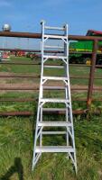 Combination Ladder