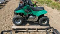 Kids' Quad - 50CC
