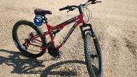 Supercycle Adult Bike