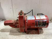 1/2 SINGLE PHASE PUMP RED LION POWER CONVERTIBLE