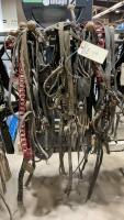 LIGHT HORSE TEAM HARNESS