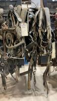 HEAVY HORSE TEAM HARNESS
