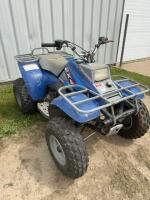 Polaris 2 x 4 quad