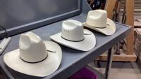 (3) COWBOY HATS - HATS-2-U, WESTERN SOUTHLAND, NO MAKER