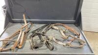 BOX W/ (3) HEAVY HORSE LEATHER HALTER