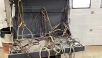 BOX W/ (4) BRIDLES + TIE DOWNS