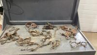 FLAT OF SPURS