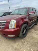 2010 Cadillac Escalade SUV