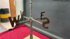METAL CAST WEATHER VANE W/ PHEASANT - 2