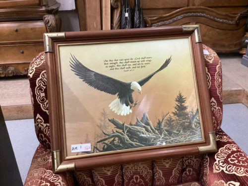 EAGLE PICTURE WITH BIBLICAL VERSE