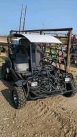 Renegade Dune Buggy