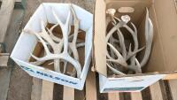 Antler Sheds