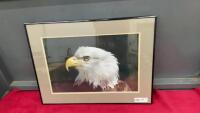 BALD EAGLE PHOTOGRAPH IN FRAME