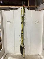 ELECTRIC FENCE POSTS