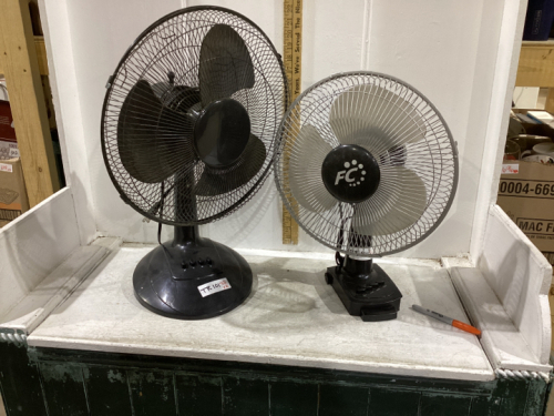 TWO ELECTRIC FANS