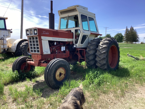 Farmall INT. 1466 Diesel Tractor